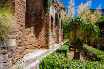 Naklejka premium brick wall with palms