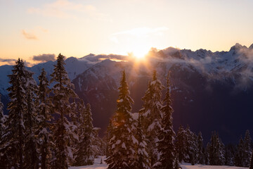View of Canadian Nature Landscape on top of snow covered mountain and green trees during colorful...