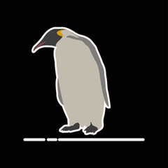 Penguin vector art and graphics