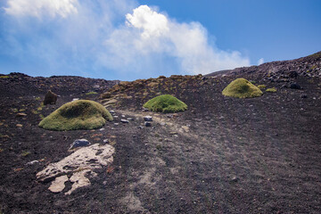 Path on the Mount Etna