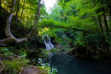 Fototapeta premium La Vaioaga waterfall, Cheile Nerei National Park, Caras Severin, Romania 