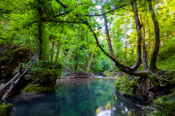 La Vaioaga waterfall, Cheile Nerei National Park, Caras Severin, Romania
