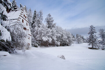 winter forest in the mountains