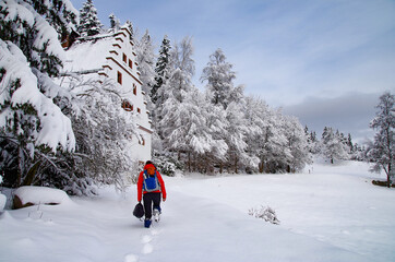 hiker in winter forest