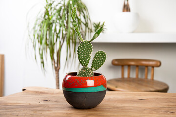 cactus and succulent in handmade ceramic pot on a wooden table in a living room