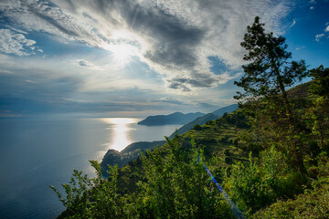 Fototapeta na wymiar Cinque Terre Nationalpark