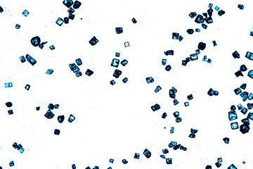 blue salt cubes close up macro microscopic crystals in white background