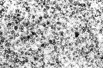 salt crystal cubes close up macro microscopic in white background