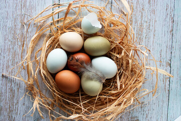 Organic eggs on dry grass close-up.