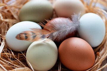 Organic eggs on dry grass close-up.