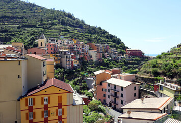 Manarola Italy is a very colorful town that hangs on the mountainside with many vineyards and is one of five towns that make up the cinque terre region.
