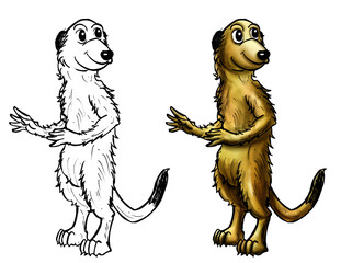 Meerkat cartoon line and color