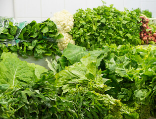 Salada verde