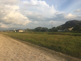landscape in the summer