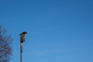 A wooden birdhouse on a tall thin pole against the blue sky.