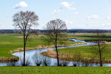 Wiosna w Dolinie Narwi, Podlasie, Polska