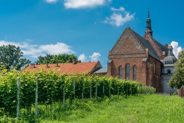 winnica w Sandomierzu - obrazy, fototapety, plakaty