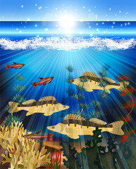 Obraz na płótnie Canvas Underwater world card with fish and algae, vector illustration 