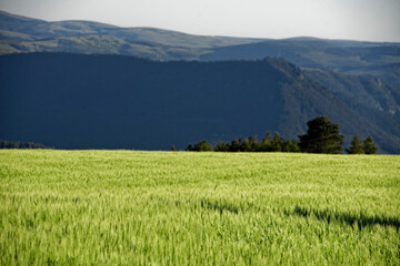 Champs, Saint-Etienne-du-Valdonnez