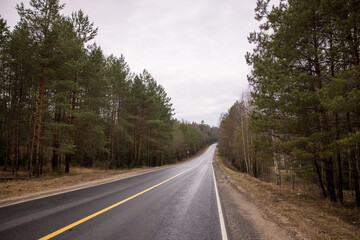 Road to Lezhnevo, Ivanovo region