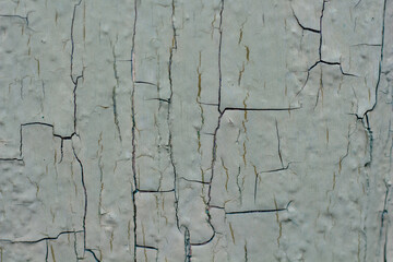 Old cracked blue paint on wood board, texture