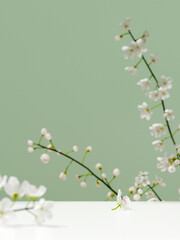 Minimal cosmetic background for product presentation. White platform and flower on green background . Clipping path of each element included. 3d render illustration. 