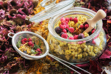 Glass jar of medicinal plants - helichrysum, wild marjoram, red and black currant berries, tea infuser of dry medicinal herbs. Heaps of dried echinacea, calendula, rose petals. Alternative medicine.