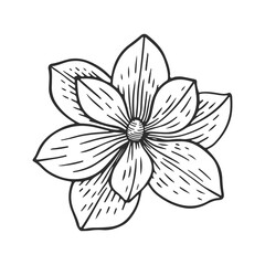 Vector doodle Flower
