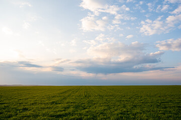 blue sky and white clouds. Freshness of the new day. Bright blue background. Relaxing feeling like being in the sky.Landscape image of blue sky and thin clouds.