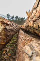 a wood yard with clearance, for sale