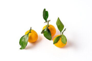 Orange ripe mandarins or tangerines fruit with green leaves, isolated on white background, copy space.