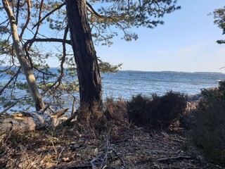 Beautiful beach near Stockholm in spring
