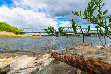 scenery next to the Oder river 