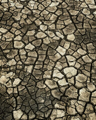 dry cracked earth hooksiel 