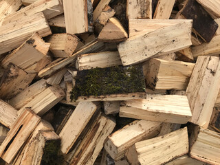 stack of firewood