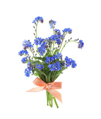 Naklejka na ściany i meble Bouquet of beautiful blue Forget-me-not flowers on white background