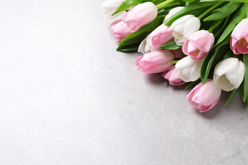 Beautiful pink spring tulips on light background, above view. Space for text