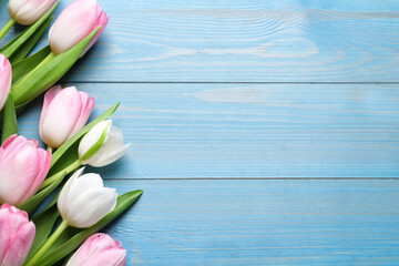 Beautiful pink spring tulips on light blue wooden background, flat lay. Space for text