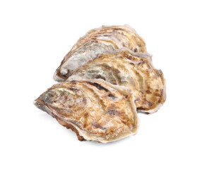 Fresh raw closed oysters on white background