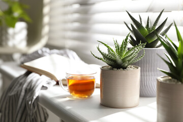 Many beautiful potted plants, cup of tea and book on windowsill, space for text. Floral house decor
