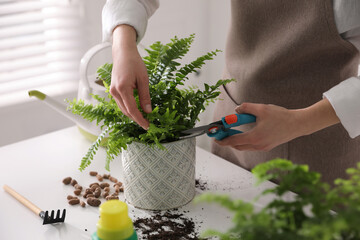 Woman cutting leaf of fern at white table indoors, closeup © New Africa