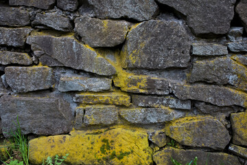 Fototapeta premium Texture of a stone grey wall with moss
