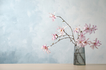 Fototapeta premium Magnolia tree branches with beautiful flowers in glass vase on wooden table against light blue background, space for text