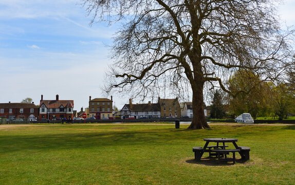 The Park and Causeway  at Godmanchester with large tree and bench. 