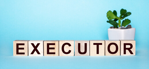 The word EXECUTOR is written on wooden cubes near a flower in a pot on a light blue background