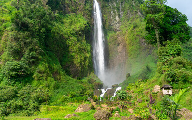 waterfall in the forest