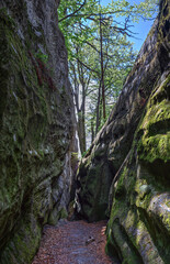 Panorama of a path near Dovbush rocks
