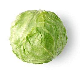 fresh raw cabbage