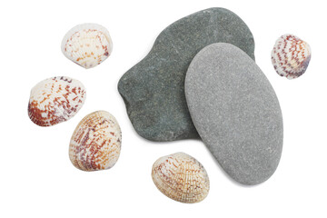 Sea rocks, seashells, isolated on a white background