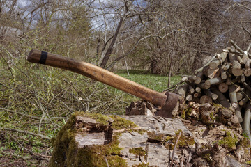 Old used axe in a rotten strain with moss ans small sawed trees